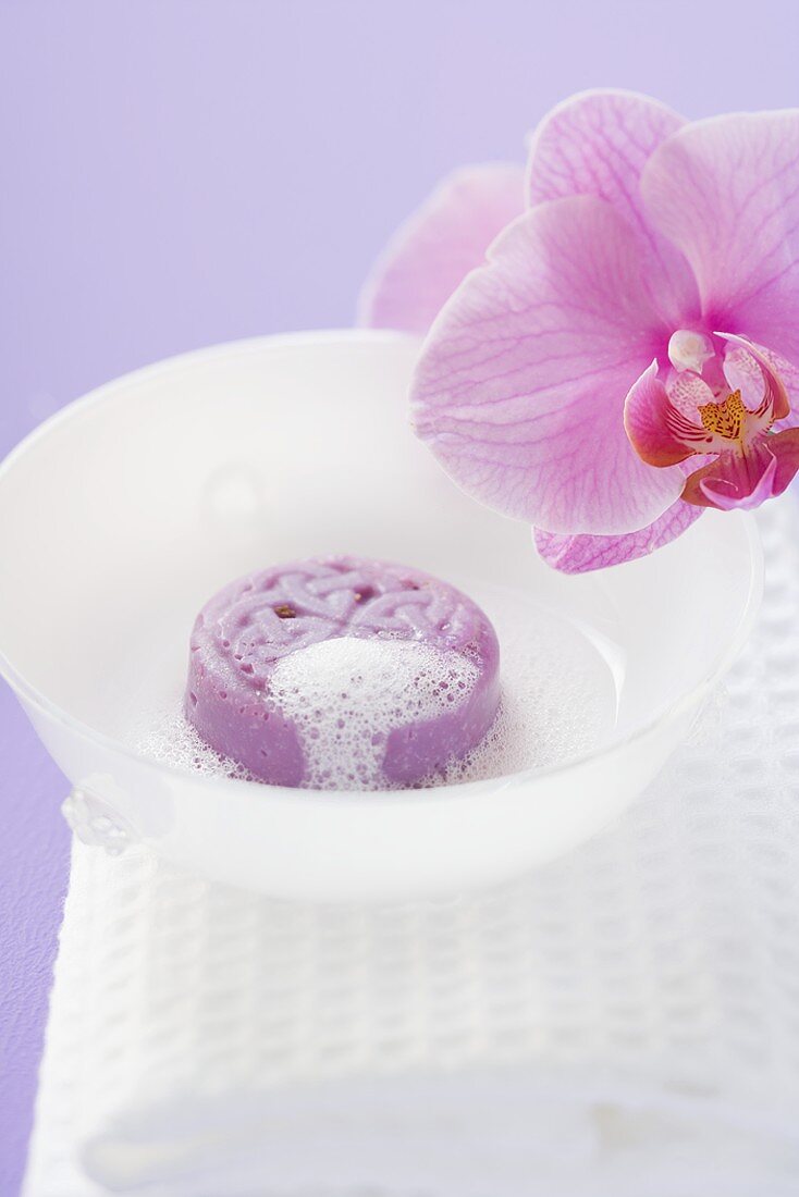 Seife mit Schaum in weisser Schale auf Handtuch, Orchidee