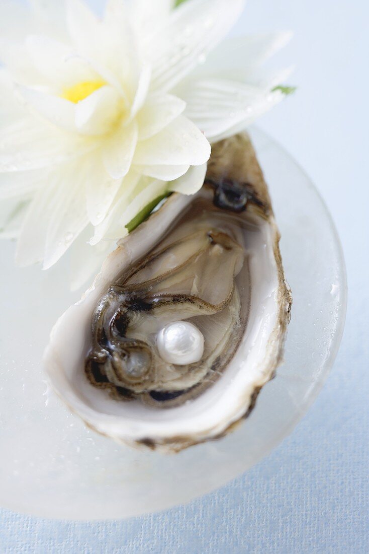 Frische Auster mit Perle, daneben weiße Seerose