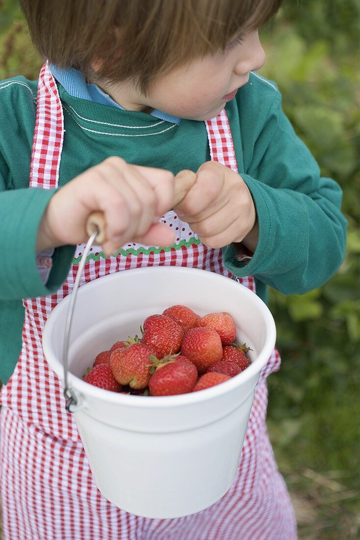Kind hält Eimer mit Erdbeeren