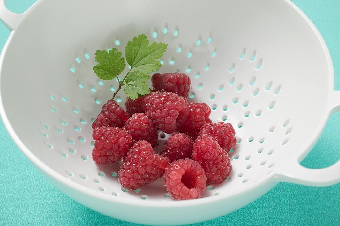 Raspberries with leaf in colander