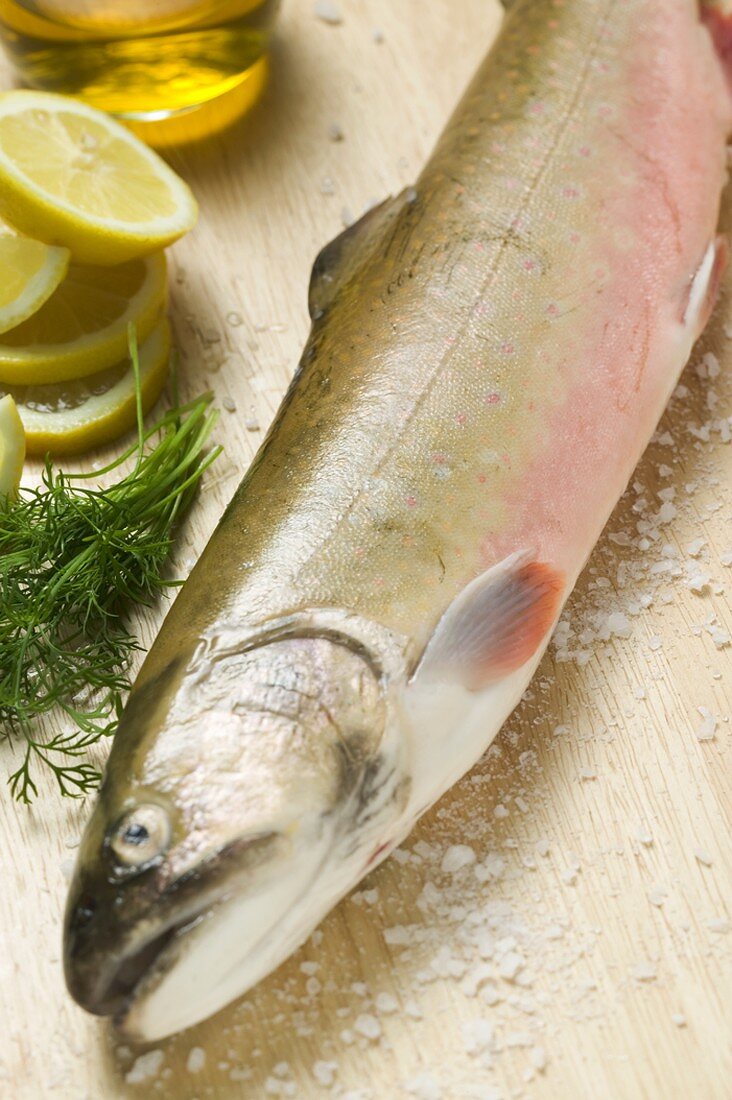 Fresh salmon trout, salt, dill and lemons