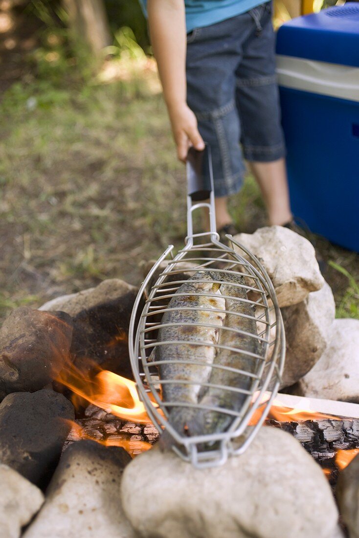 Fische auf Lagerfeuer grillen