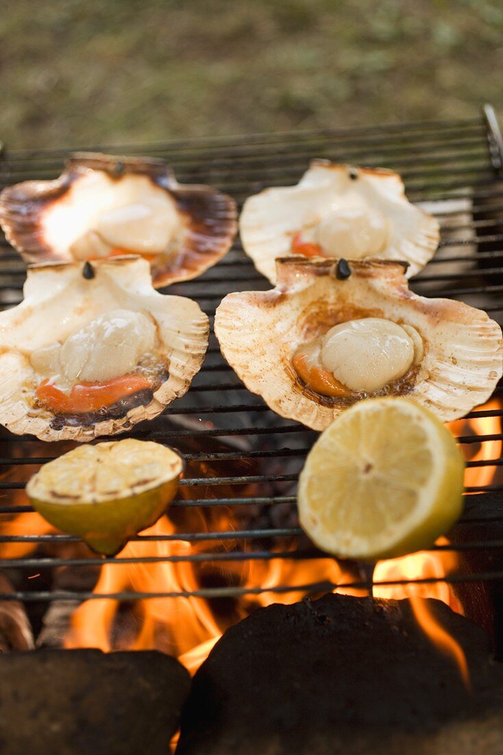 Scallops on barbecue