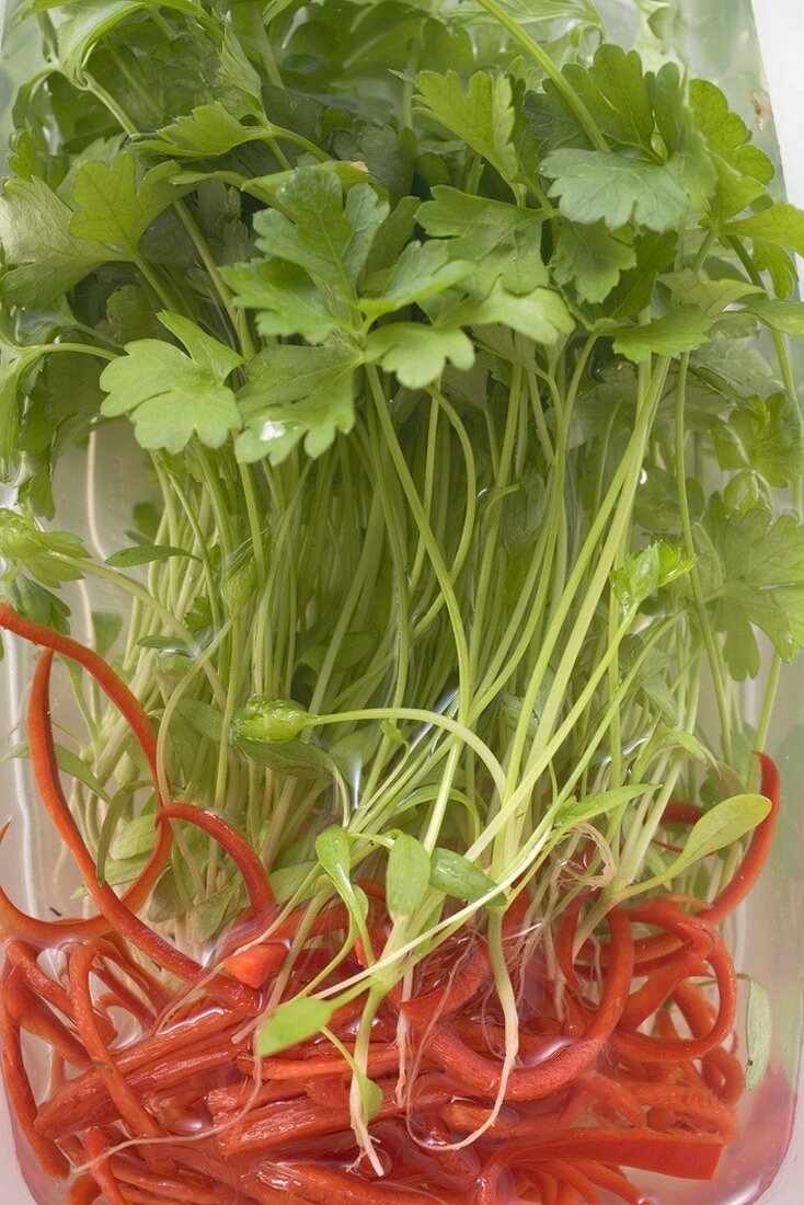 Fresh parsley and strips of red pepper