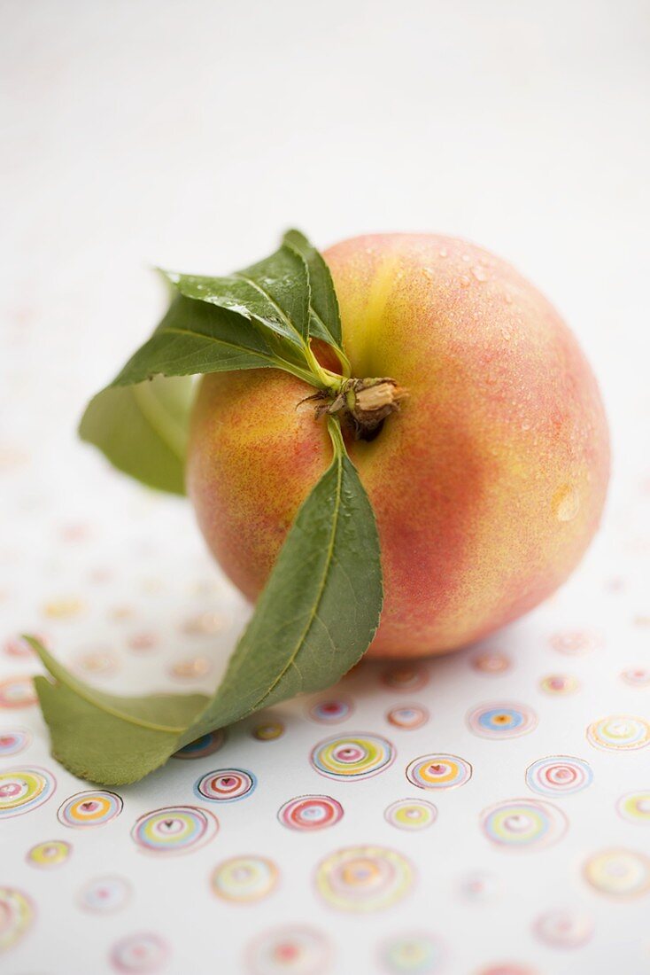 Nectarine with leaves and drops of water