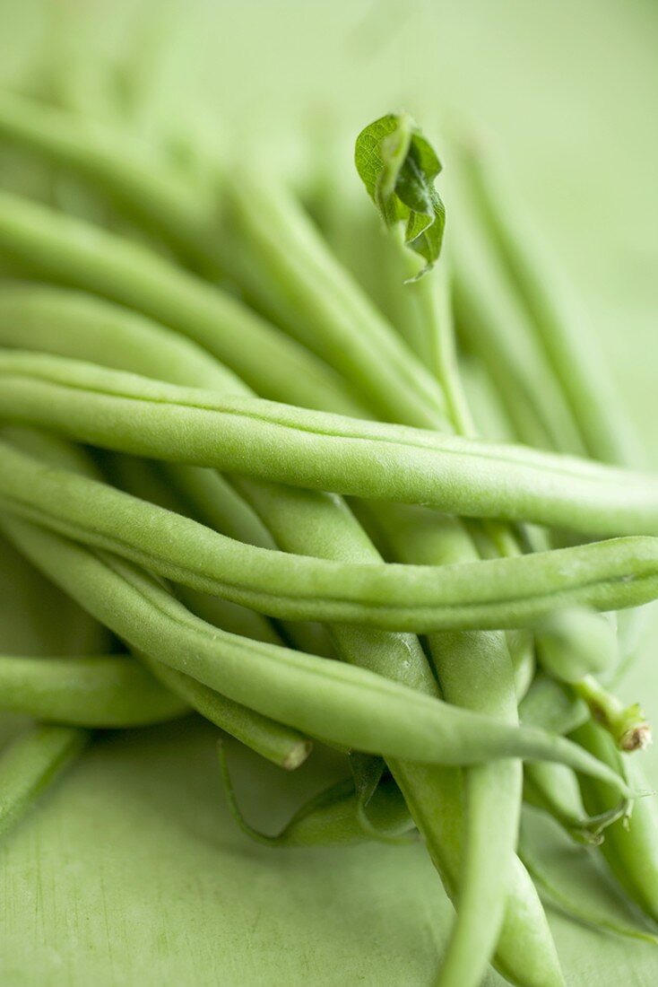 French beans on green background (detail)