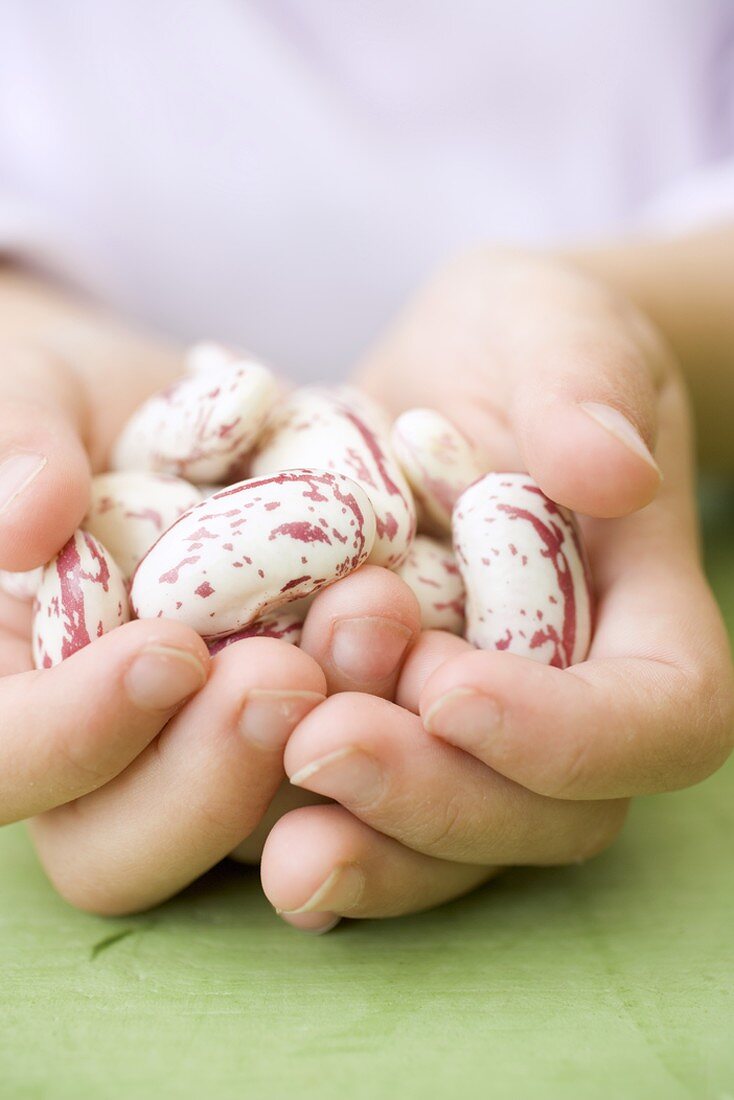 Child's hands holding several borlotti beans