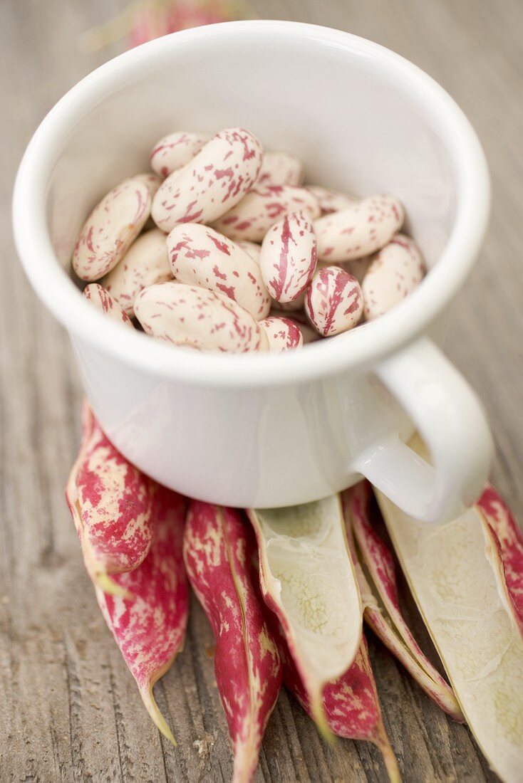 Borlotti beans in cup on bean pods