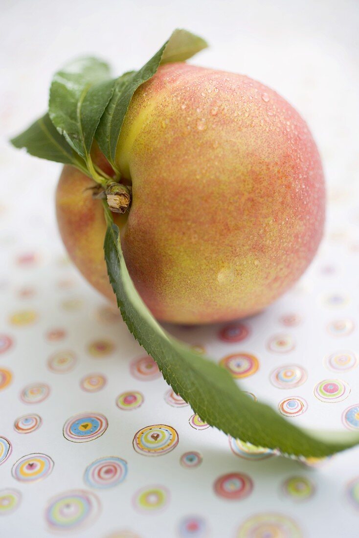 Nectarine with leaves and drops of water