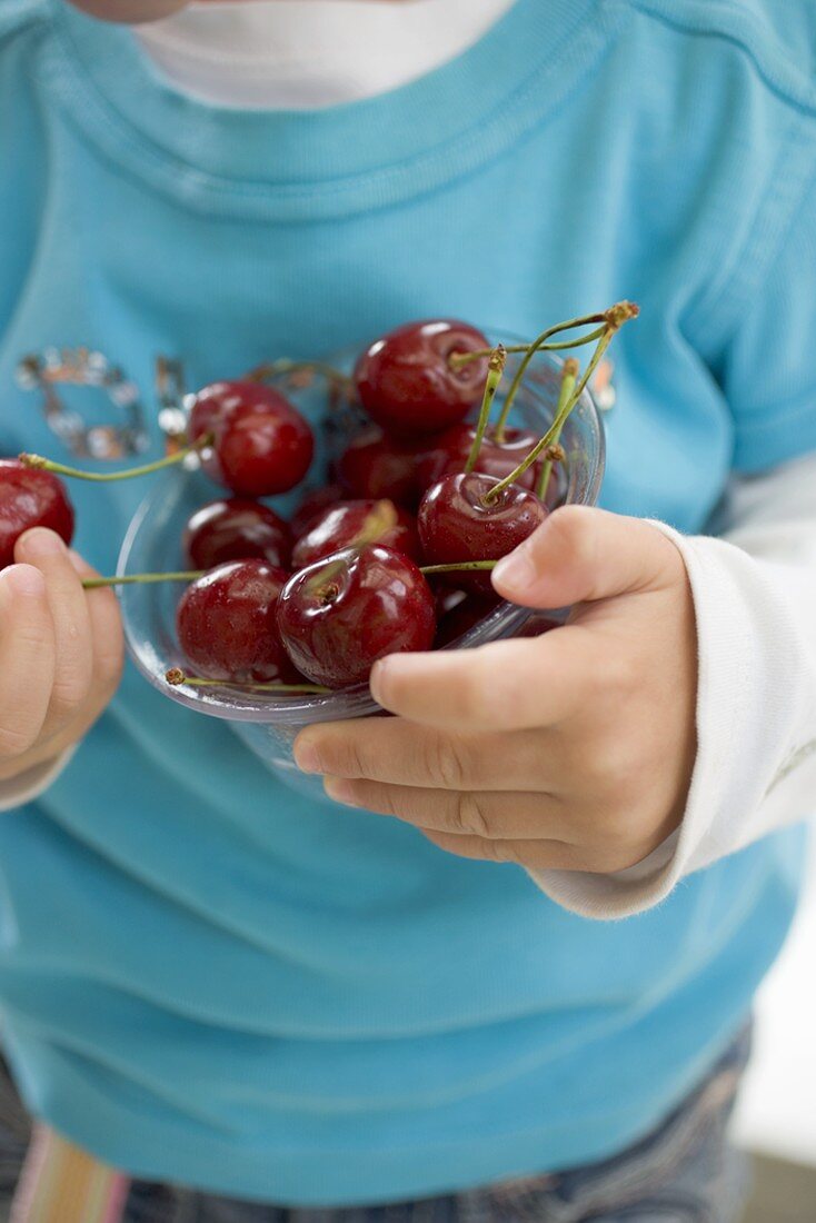 Child holding tub of fresh cherries