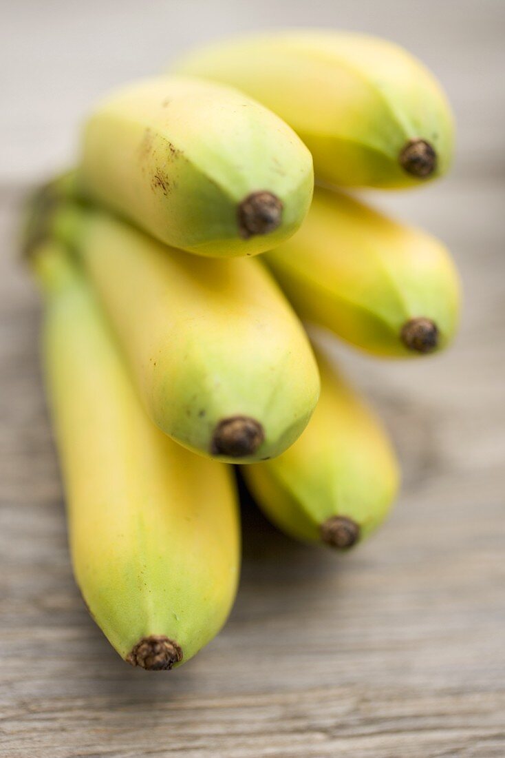 Bananenstaude