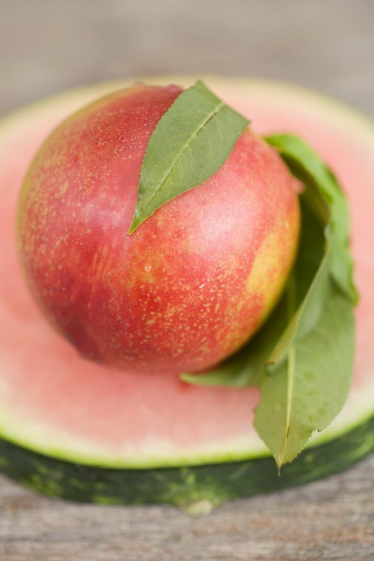 Nektarine mit Blättern auf Wassermelonenscheibe