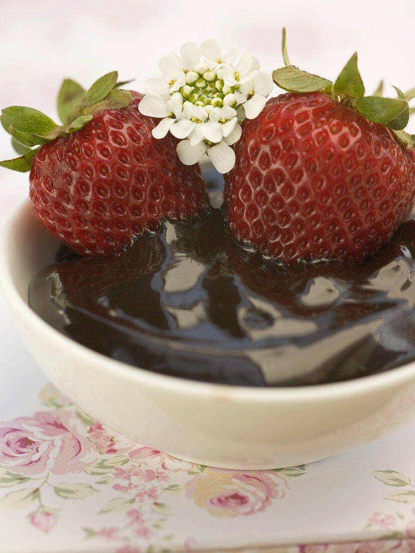 Strawberries in chocolate sauce