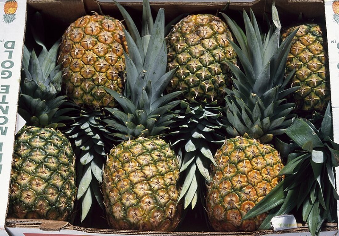 Several pineapples in a crate