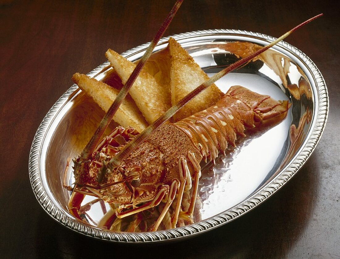 Cooked spiny lobster with toast on silver platter