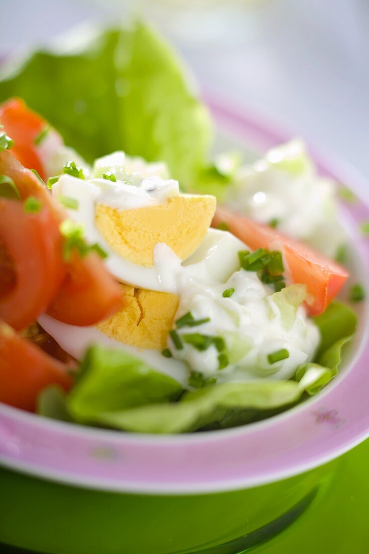 Kopfsalat mit Ei, Tomaten und Joghurtdressing