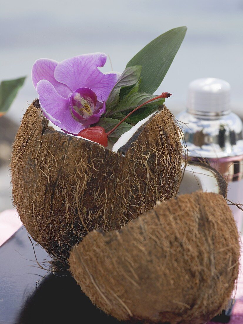 Geöffnete Kokosnuss mit Orchidee, Meer im Hintergrund