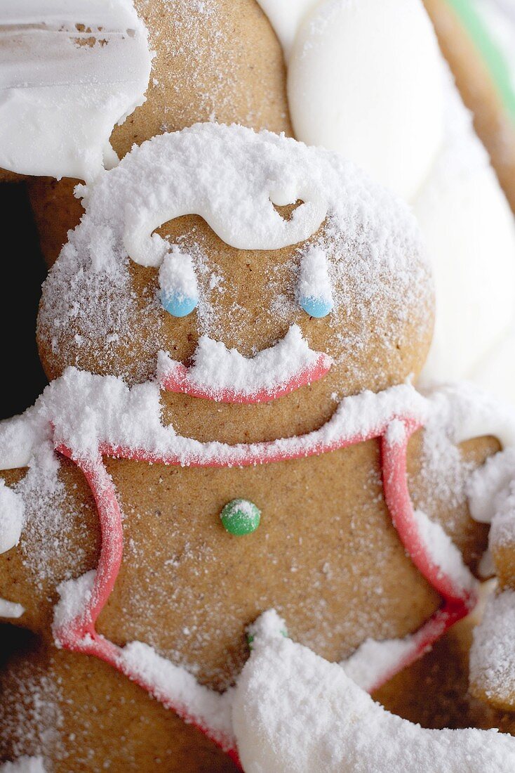Gingerbread man with icing sugar (close-up)