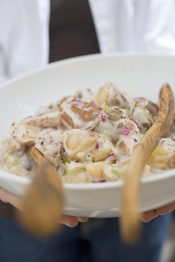 Person hält Schüssel mit Kartoffelsalat (Close Up)