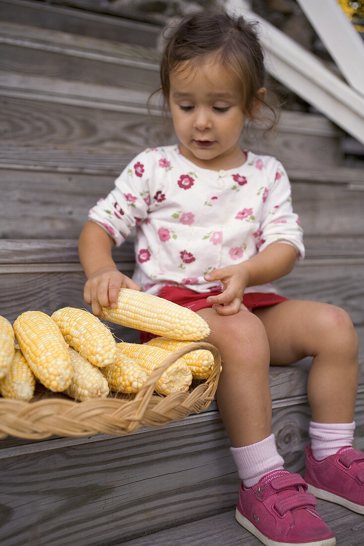 Kleines Mädchen auf Holztreppe greift nach Maiskolben im Korb