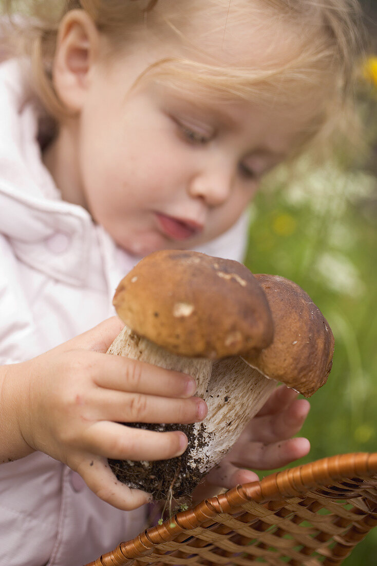 Small girl putting ceps into a basket