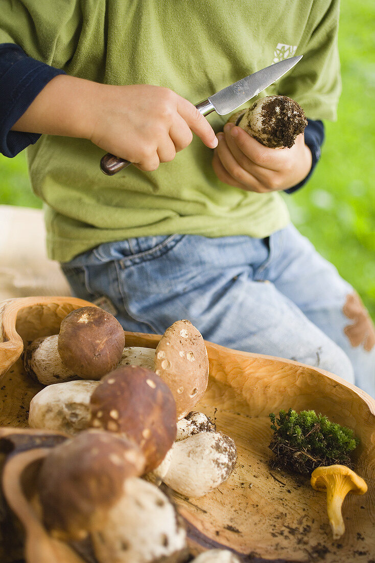 Boy cleaning ceps in a wood
