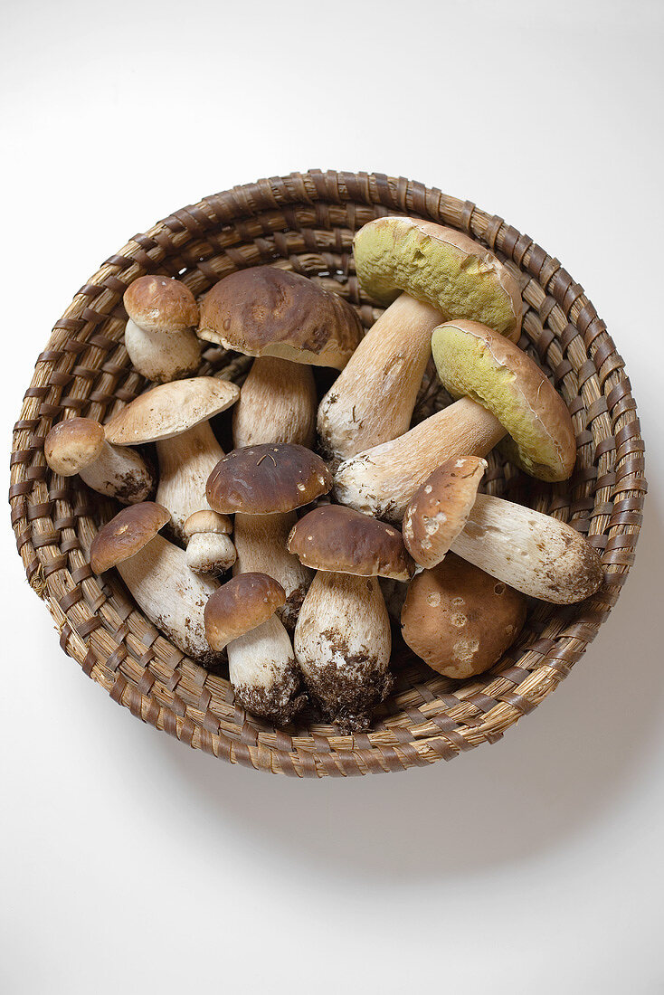 Ceps in a basket (overhead view)