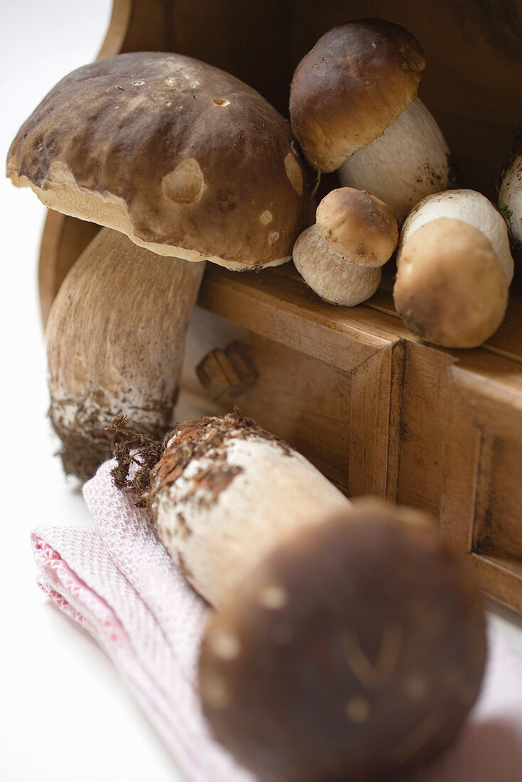 Fresh ceps on drawer unit