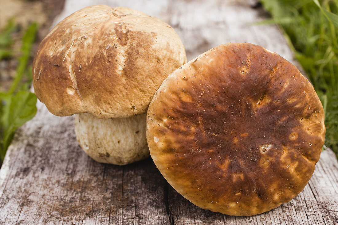 Zwei Steinpilze auf Holzbrett