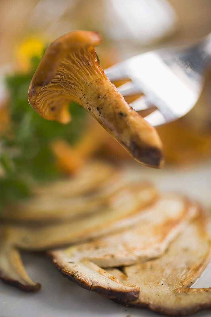 Fried chanterelle on fork above sliced cep