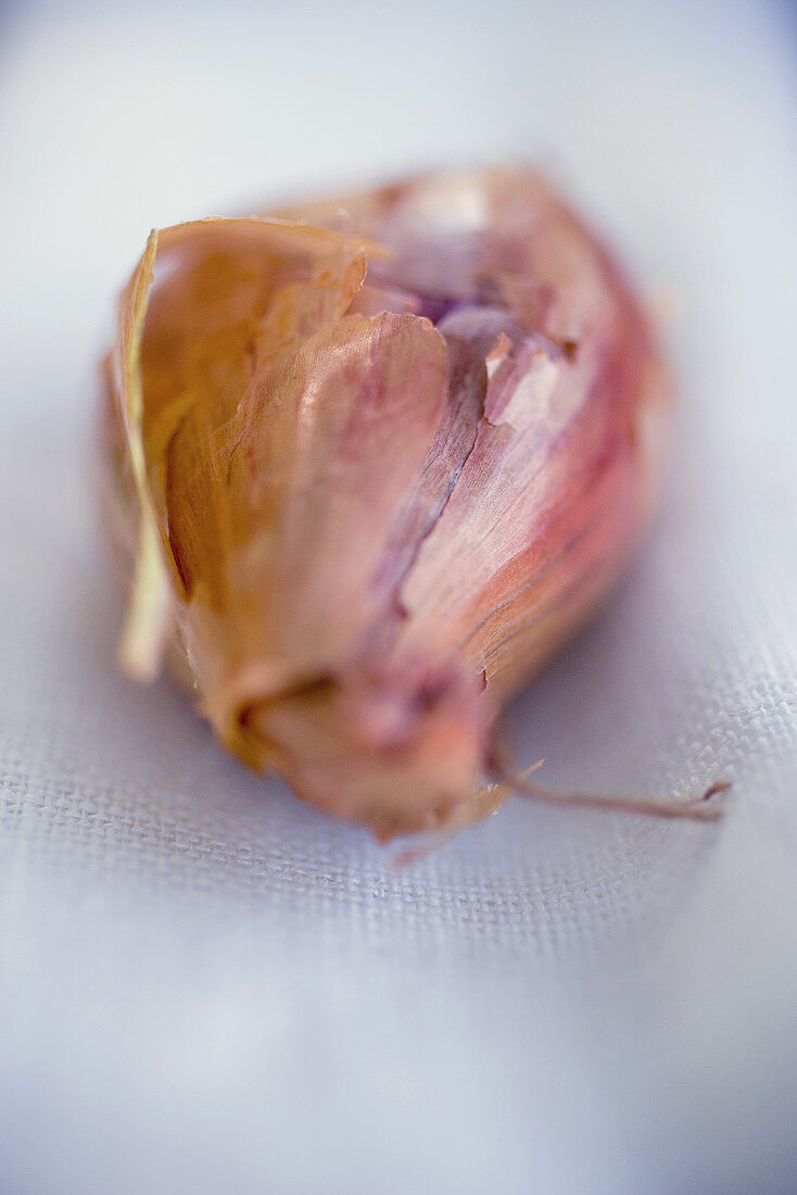 Piece of red onion