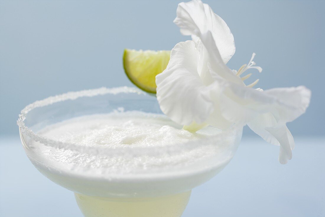 Margarita in a glass with a salted rim, lime & white orchid