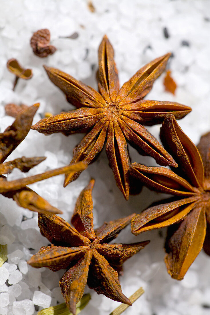 Star anise on coarse salt