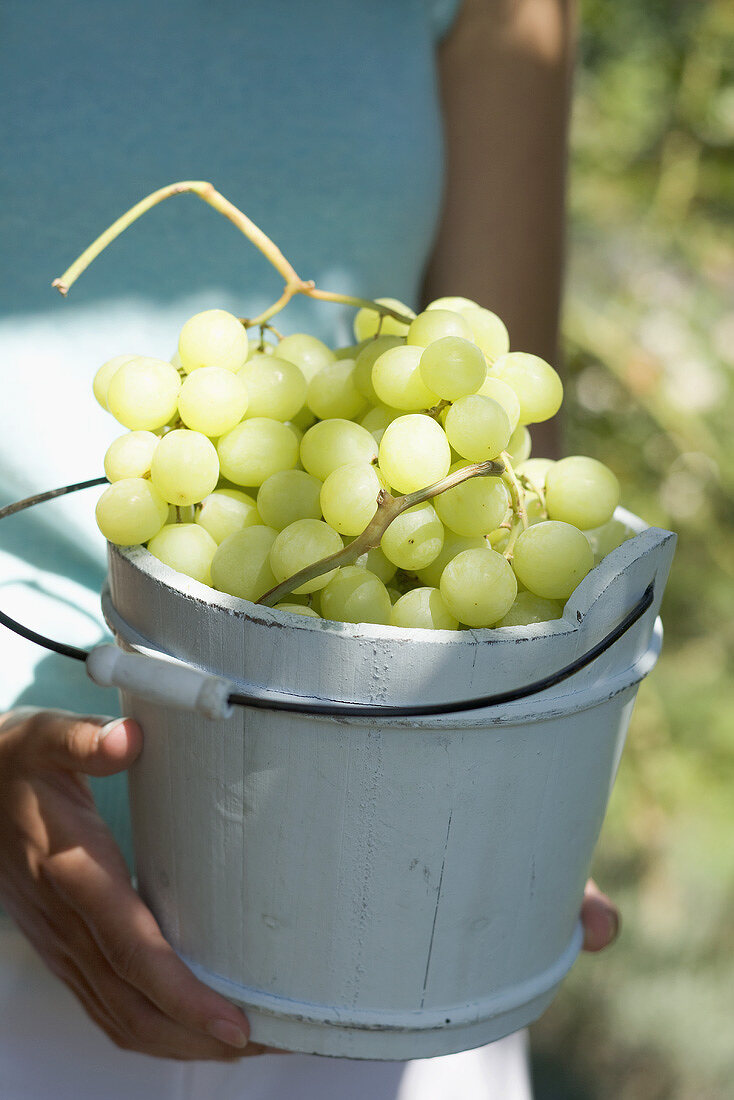 Woman holding green grapes in a wooden bucket