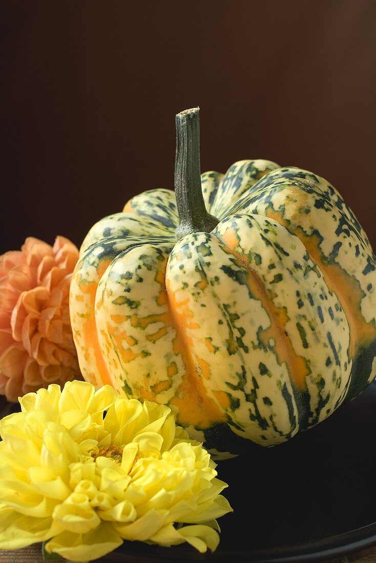 Coloured pumpkin between two flowers