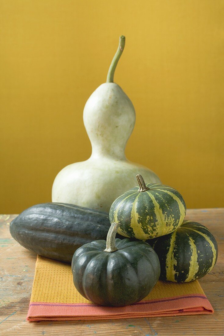 Various pumpkins and squashes on cloth