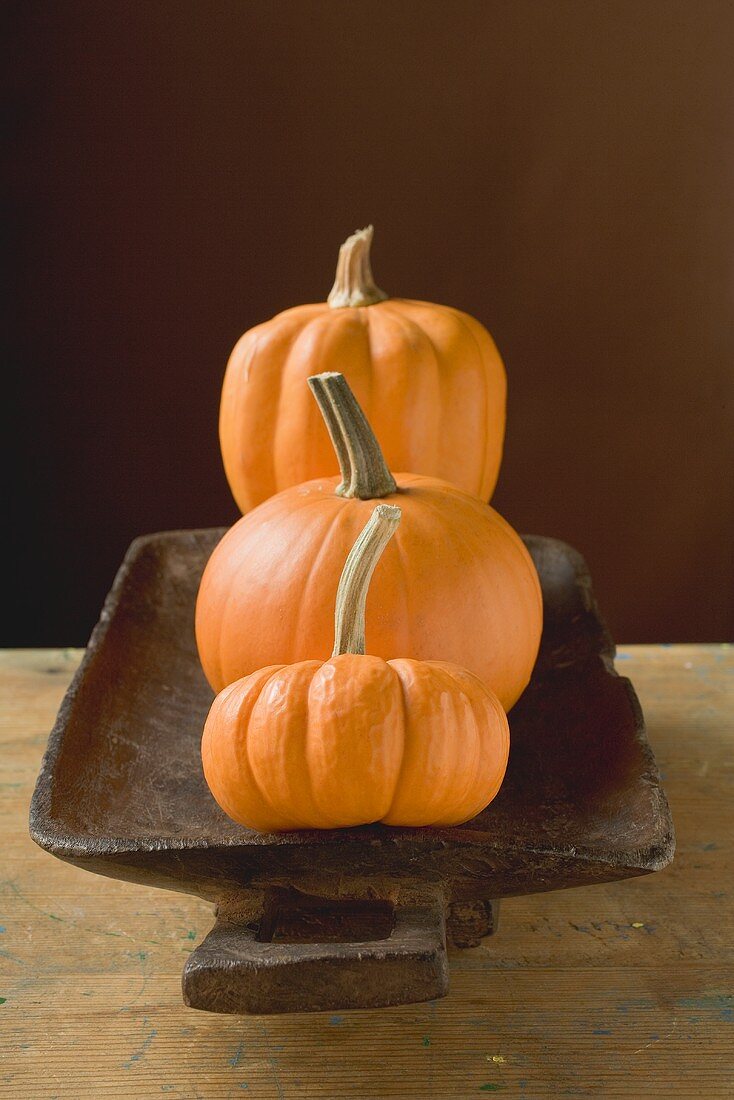 Three orange pumpkins in wooden bowl