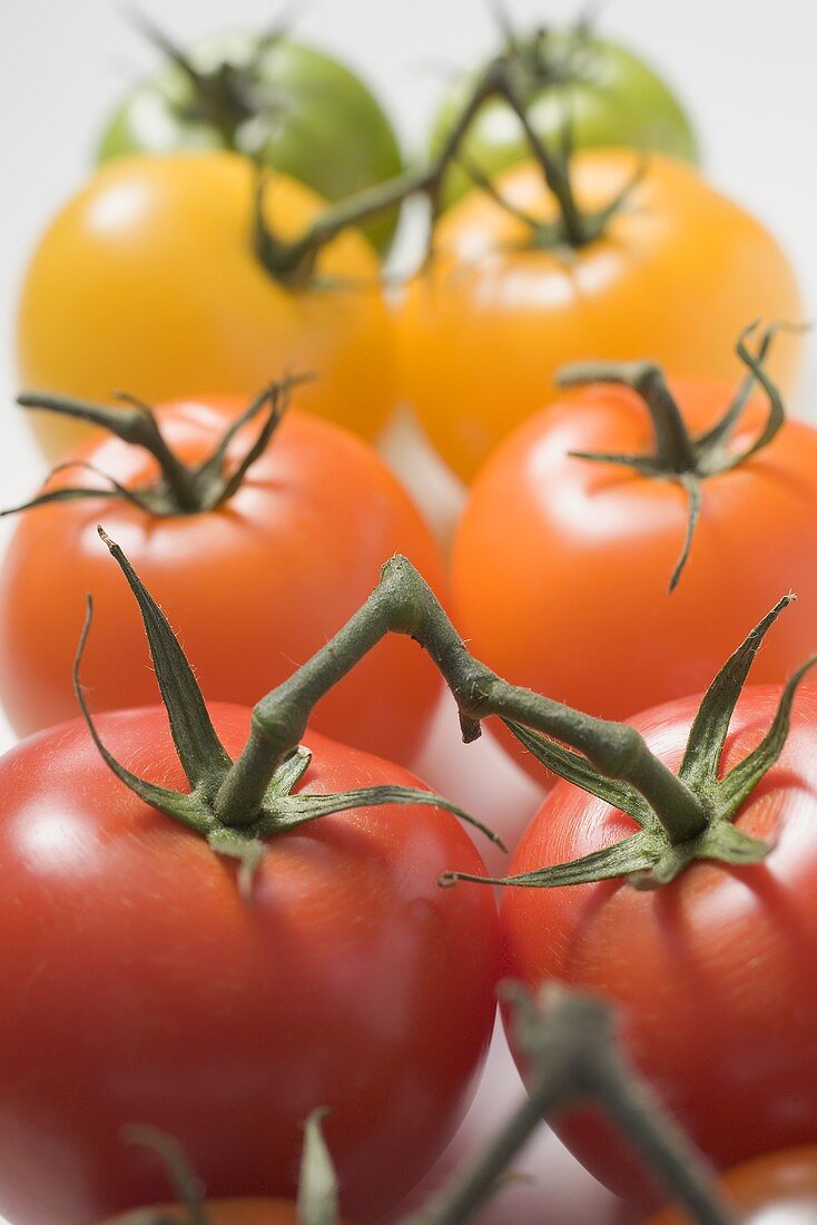 Cherry tomatoes (various colours)