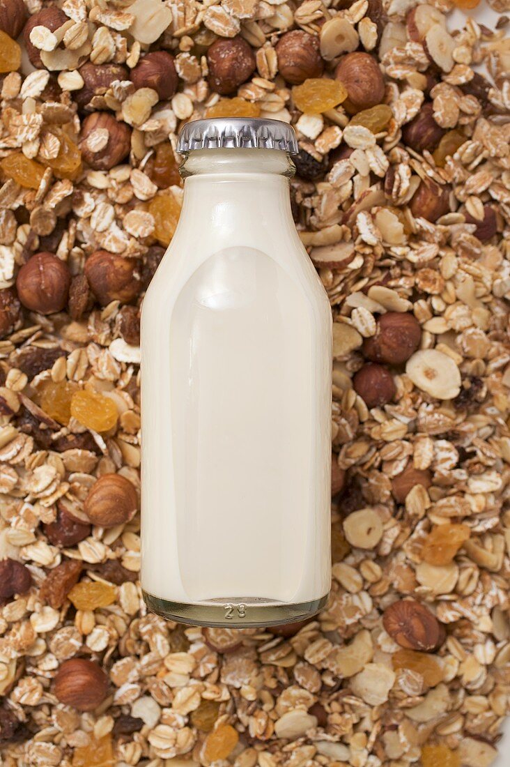 Cereal and bottle of milk (close-up)