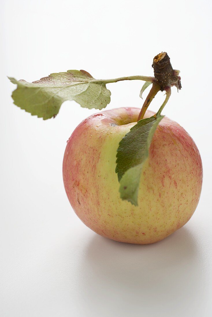 Red apple with stalk and leaves