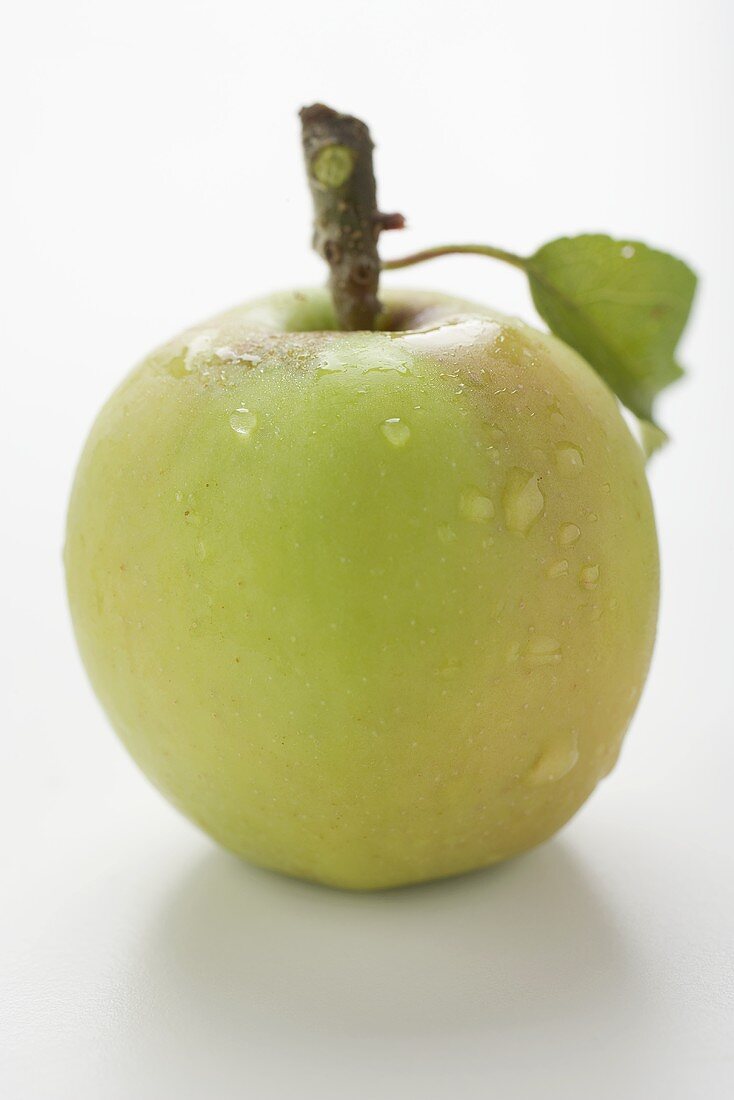 Green apple with stalk and leaf