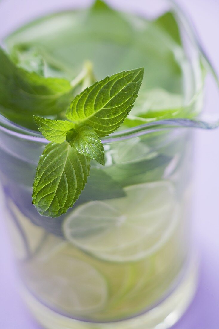 Mojito mit Limetten und frischer Minze