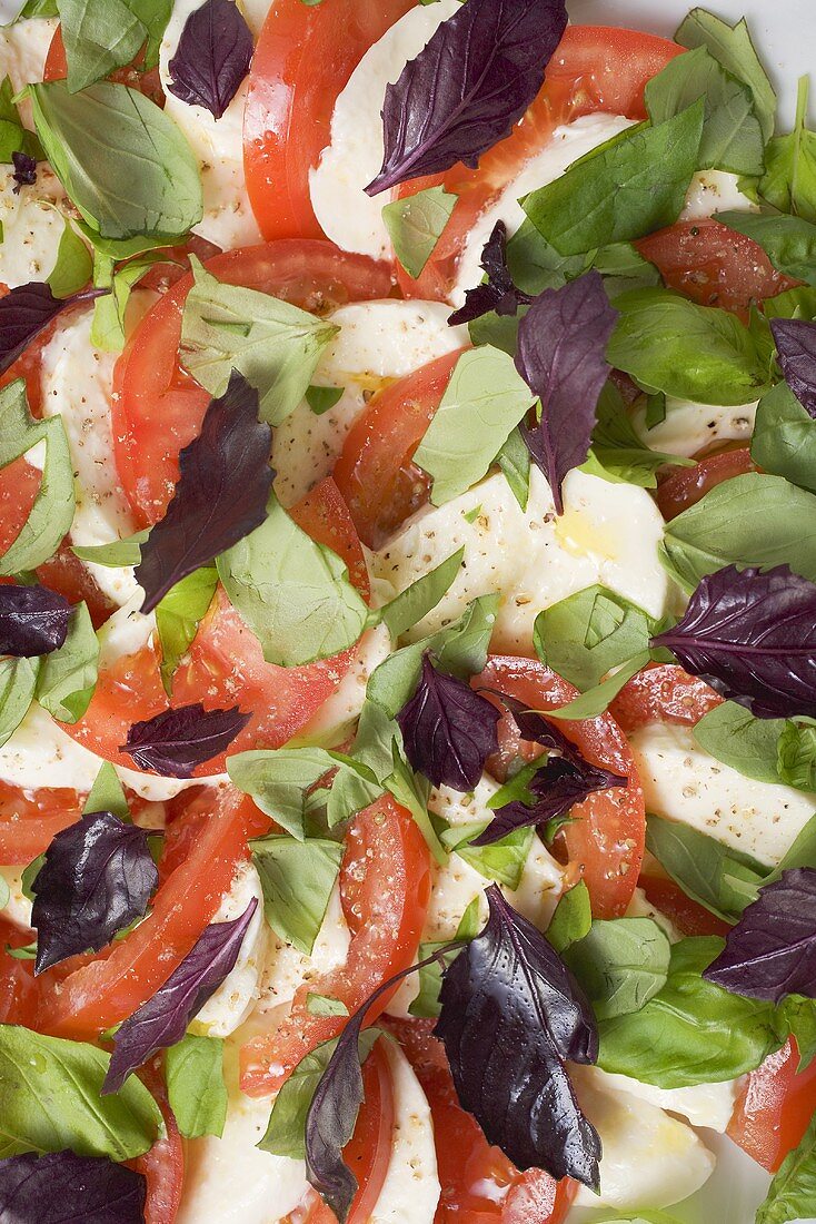 Tomatoes with mozzarella and basil (detail)