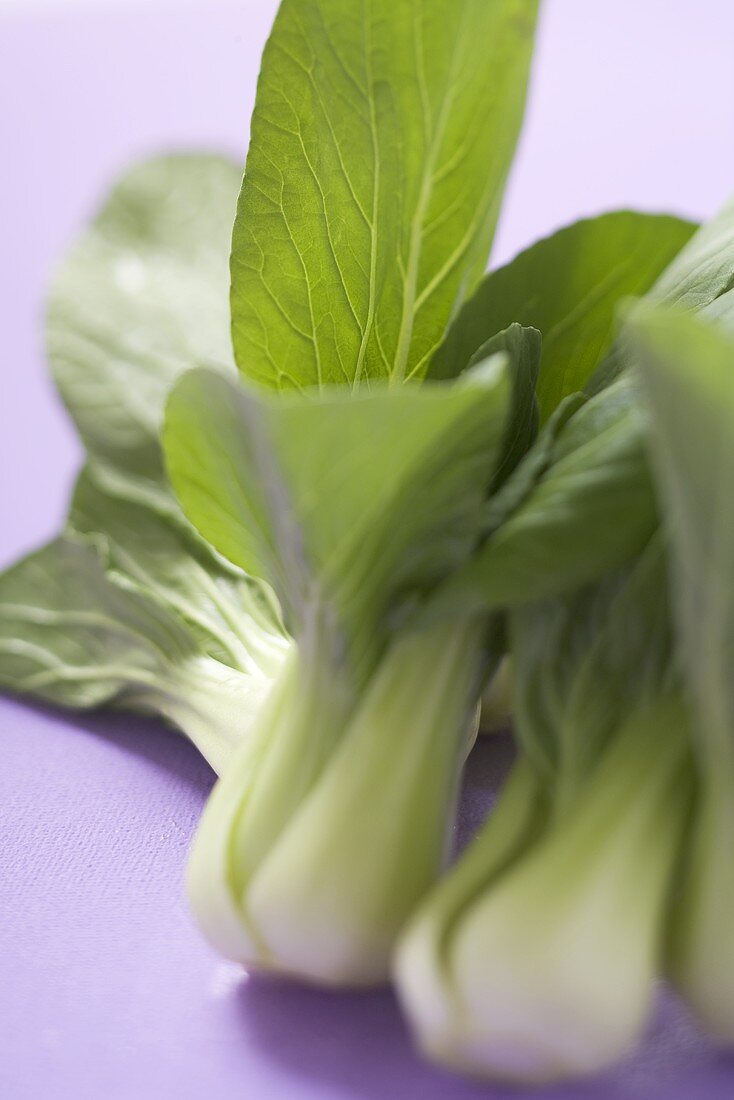 Fresh pak choi