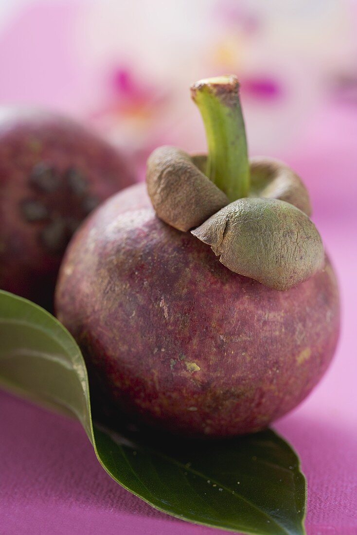 Zwei Mangostanen mit Blatt