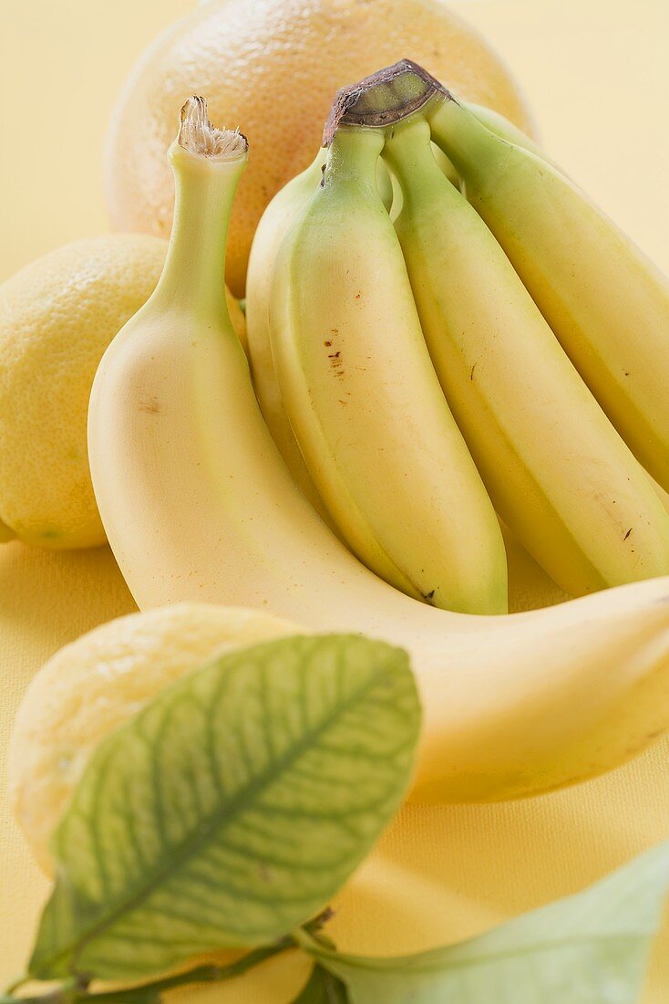 Bananen und Zitrusfrüchte