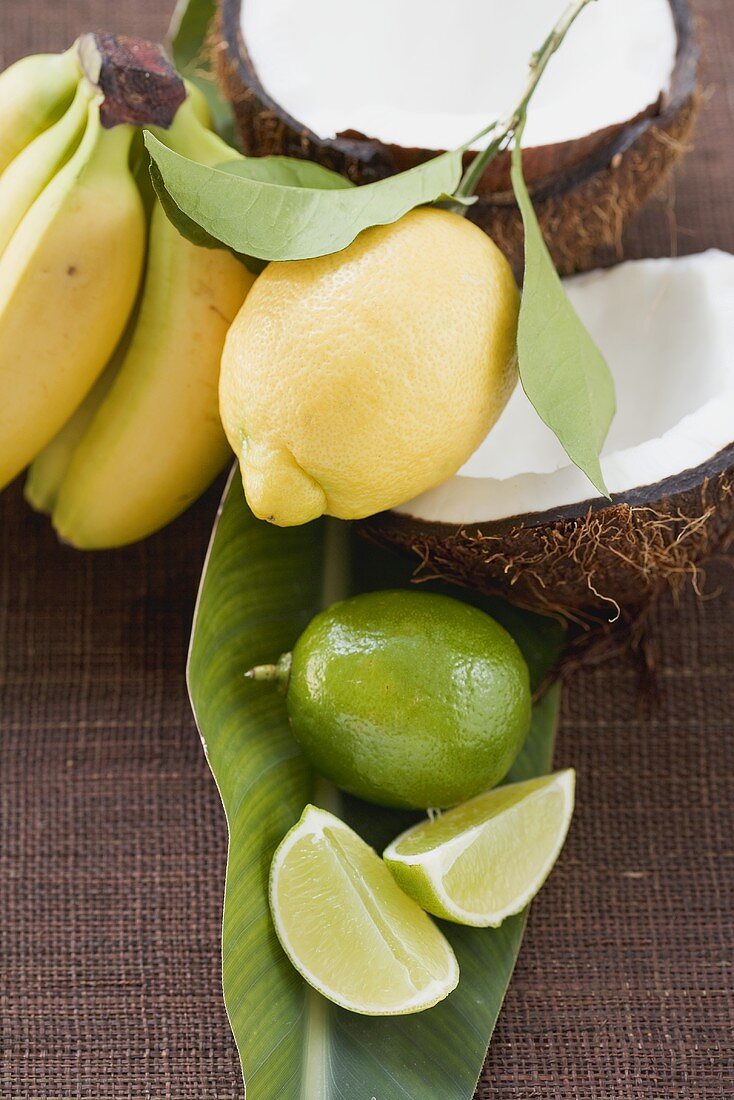 Zitrone, Limetten, Bananen und Kokosnuss