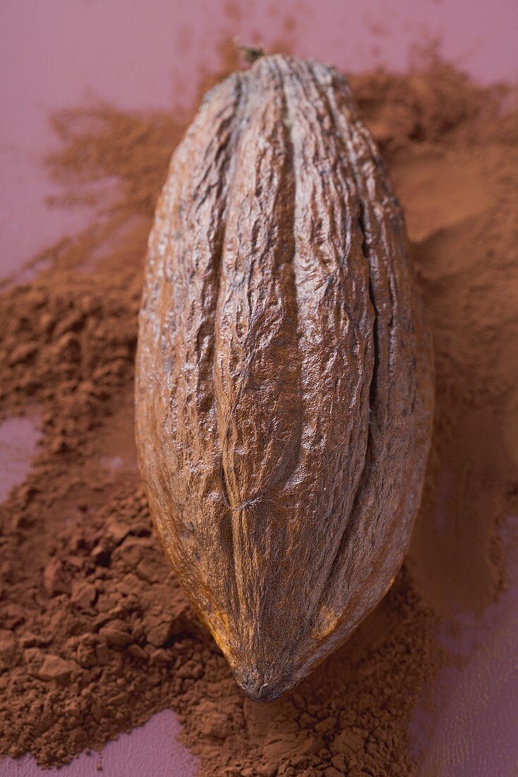 Kakaofrucht auf Kakaopulver