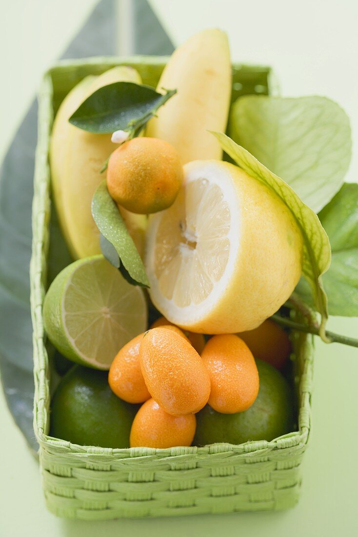Citrus fruit and bananas in green basket