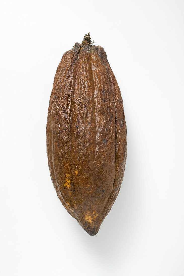 Cacao fruit